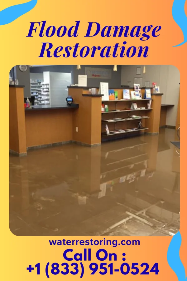 Flood Damage Restoration in Mount Crawford, VA