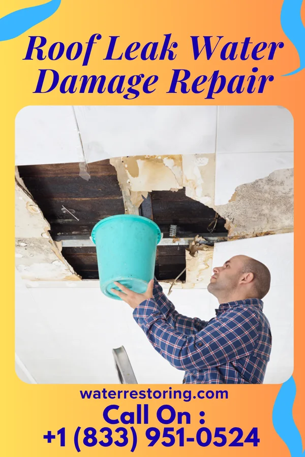 Roof Leak Water Damage Repair in Mount Crawford, VA