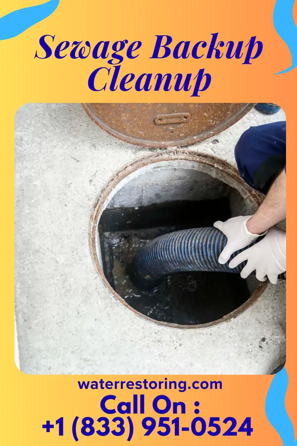 Sewage Backup Cleanup in Mount Crawford, VA