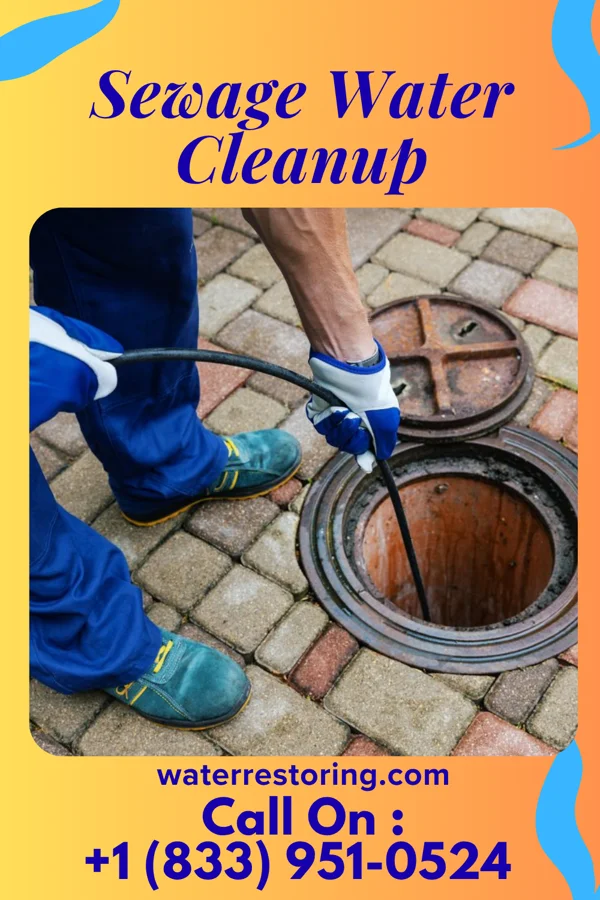 Sewage Water Cleanup in Mount Crawford, VA